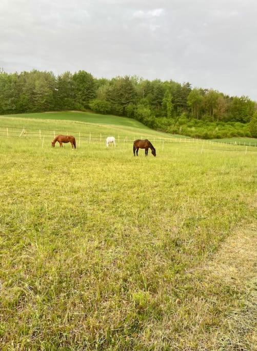 Appartamento In Cascina -La Cascinetta Di Ali- Roatto Buitenkant foto