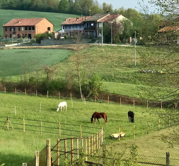 Appartamento In Cascina -La Cascinetta Di Ali- Roatto Buitenkant foto