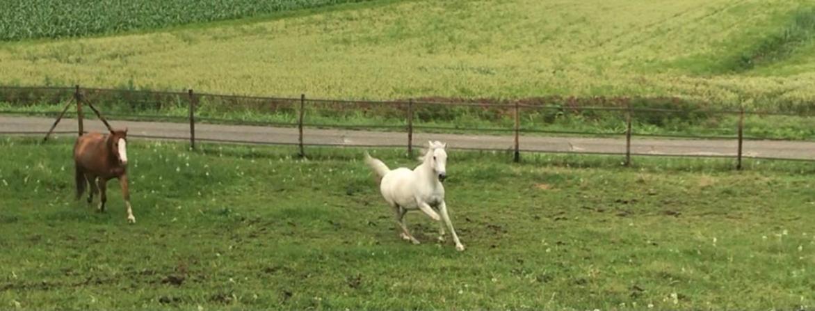 Appartamento In Cascina -La Cascinetta Di Ali- Roatto Buitenkant foto