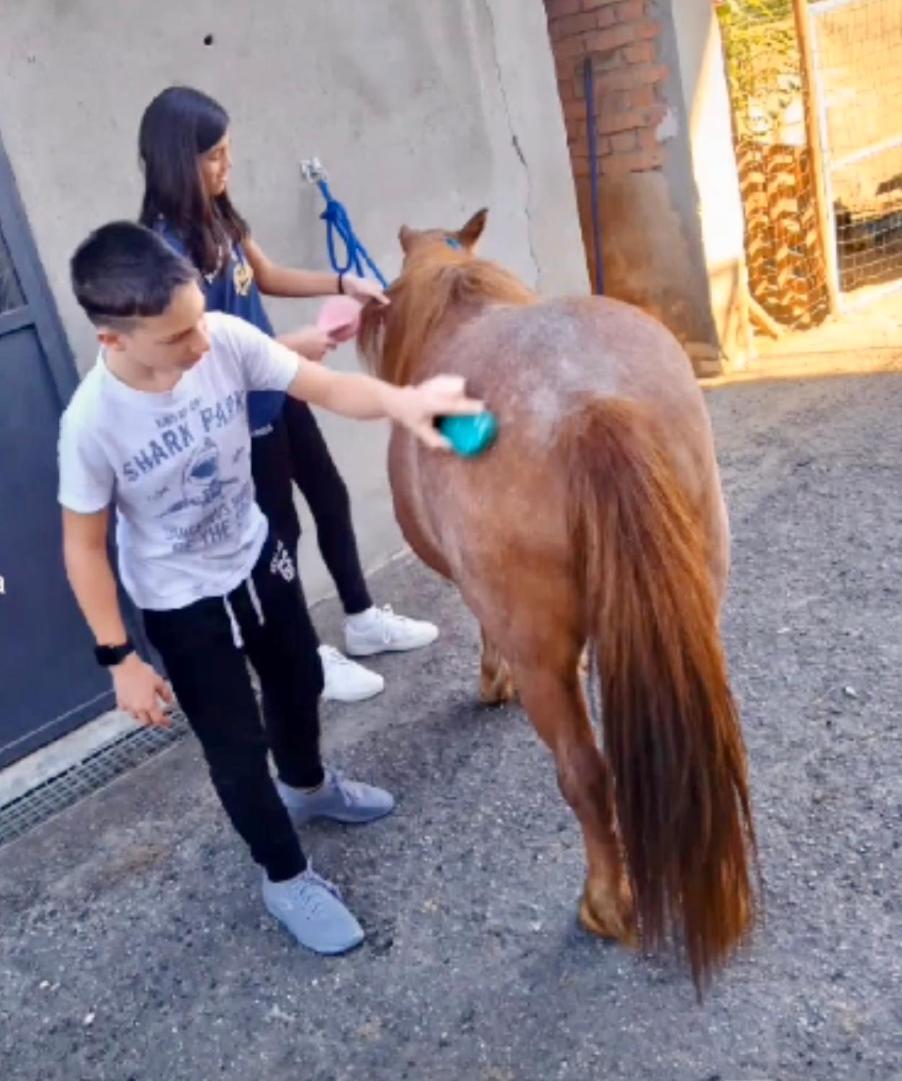 Appartamento In Cascina -La Cascinetta Di Ali- Roatto Buitenkant foto